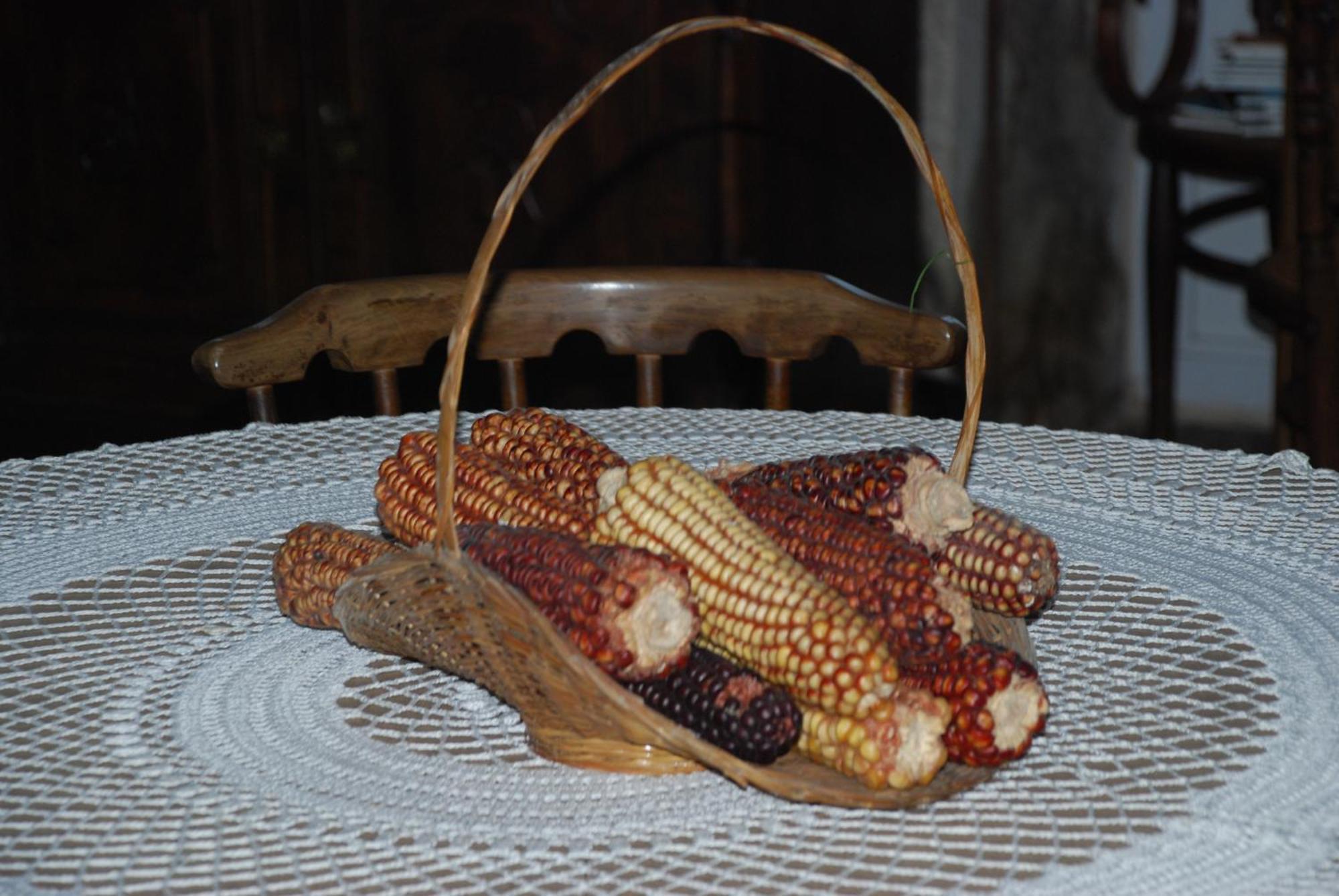 Hotel Rustico Casa Do Vento Baio  Ngoại thất bức ảnh